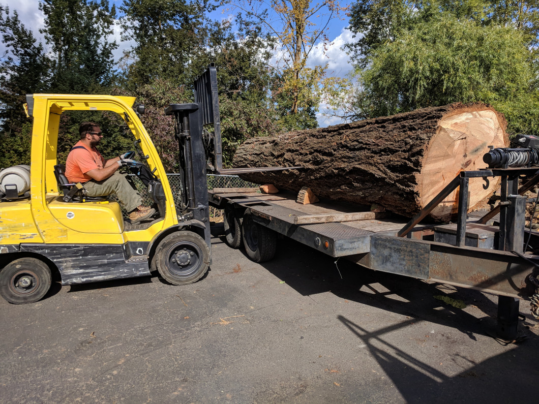 Log Salvage Portland Or Madrone Modern Arboriculture